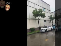 De introductie van onze fabriek